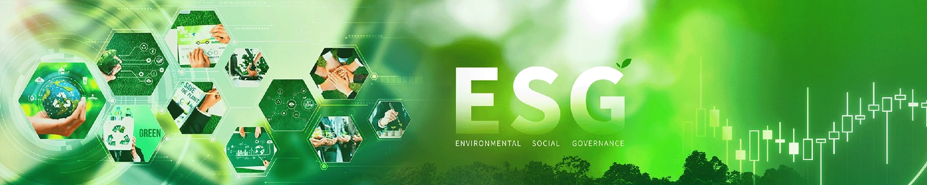 banner image